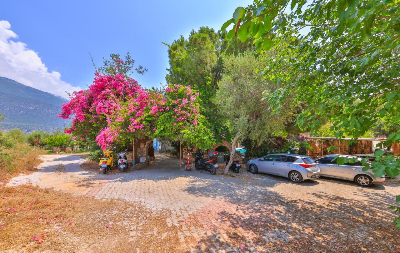 La Salvia Hotel Kaş Esterno foto